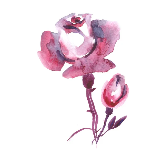 Υδατογραφία ροζ τριαντάφυλλο — Φωτογραφία Αρχείου