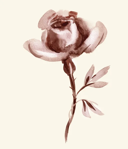 Watercolor Brown Rose — Stock Photo, Image