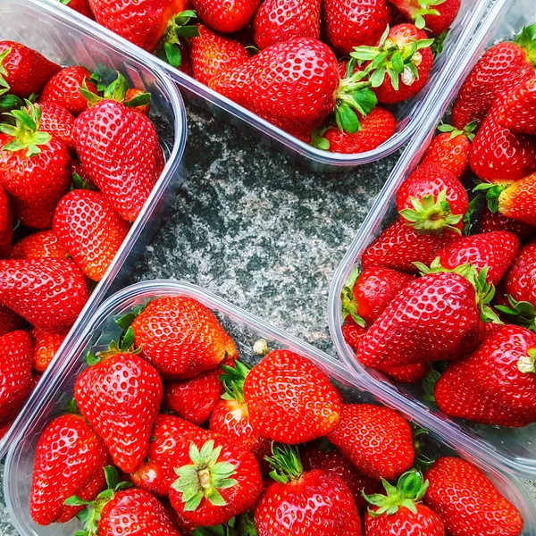 Fresas en cajas de plástico —  Fotos de Stock