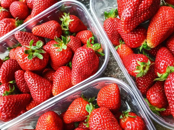 Φράουλες σε πλαστικά κιβώτια — Φωτογραφία Αρχείου