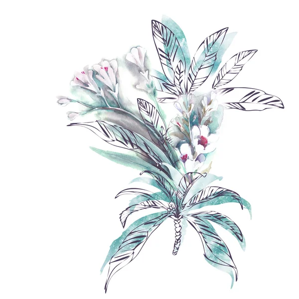 Aquarel illustratie van exotische planten — Stockfoto