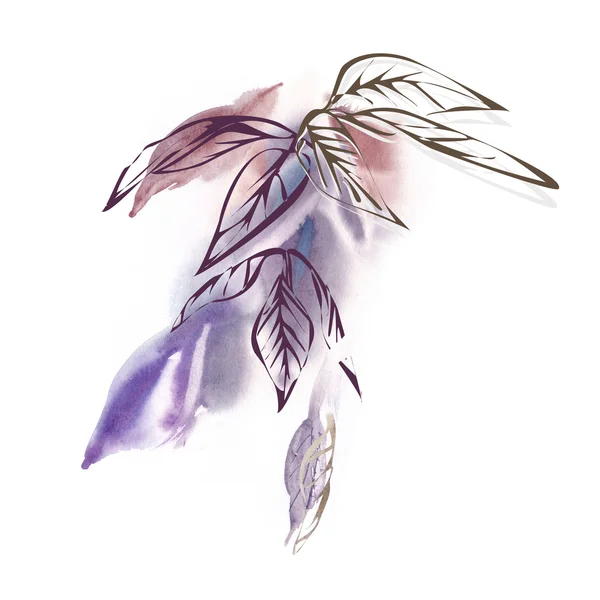Akwarela ilustracja liści — Zdjęcie stockowe