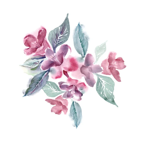 Watercolor illustration of Pink FLowers — Stock Photo, Image