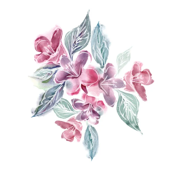 Akvarel ilustrace růžových květin — Stock fotografie