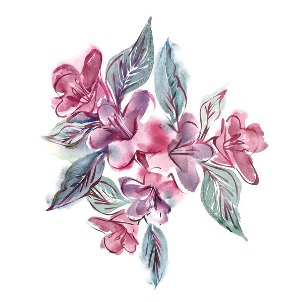 Akvarel ilustrace růžových květin — Stock fotografie