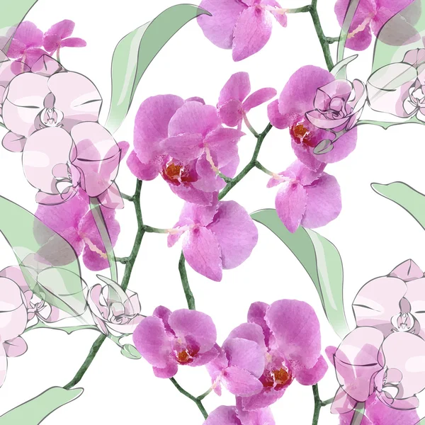 Орхидея бесшовная — стоковое фото