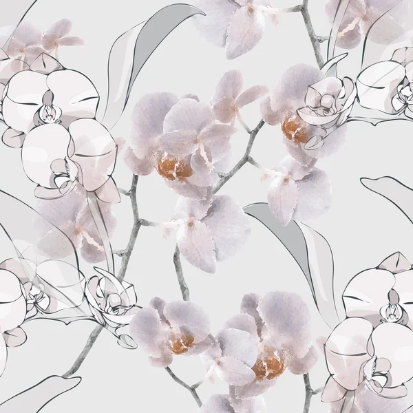 Orkide Kusursuz Desen — Stok fotoğraf