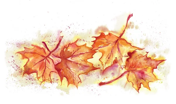 Watercolor Illustration of Maple Leaves — Stock Photo, Image