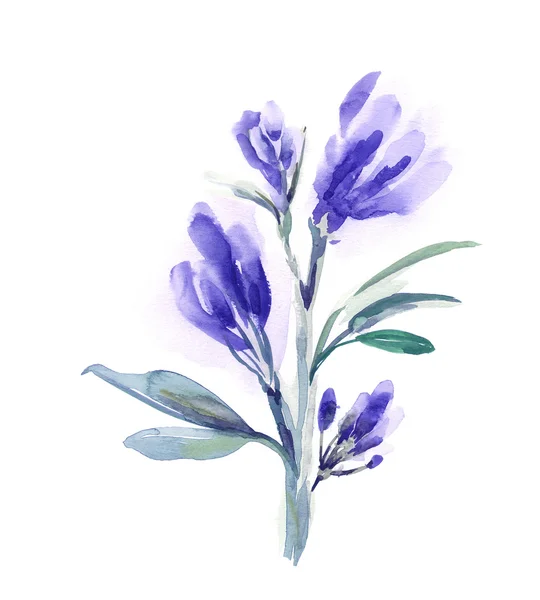 Watercolor blue flower. — Stock Photo, Image