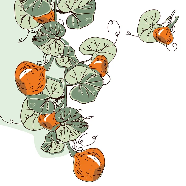 Pumpkin Garland. Ilustração esboçada — Fotografia de Stock