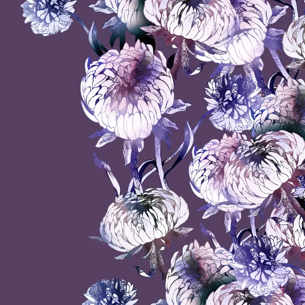 Aster Flower Pattern — Stock Photo, Image