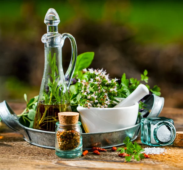 Kruiden en specerijen — Stockfoto