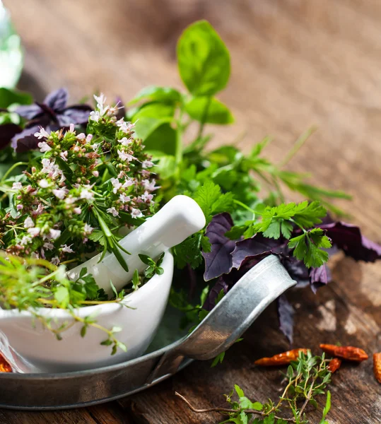 Herbs and Spices — Stock Photo, Image