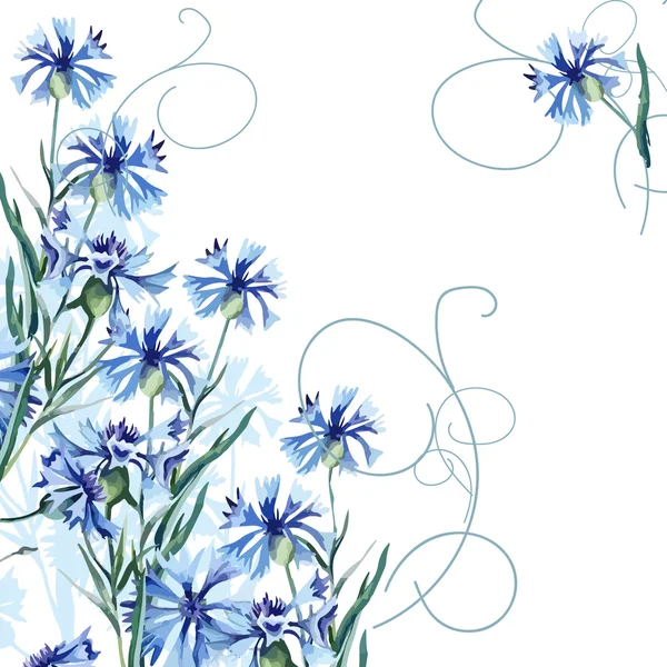 Cornflowers — Stock Vector