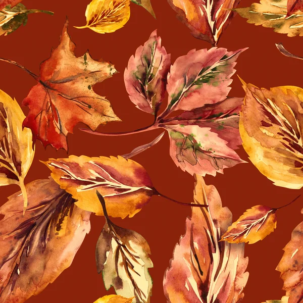 Herfst bladeren naadloos patroon — Stockfoto