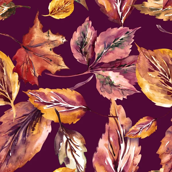 Folhas de outono sem costura padrão — Fotografia de Stock