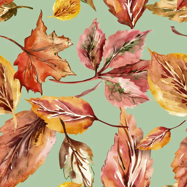 Folhas de outono sem costura padrão — Fotografia de Stock