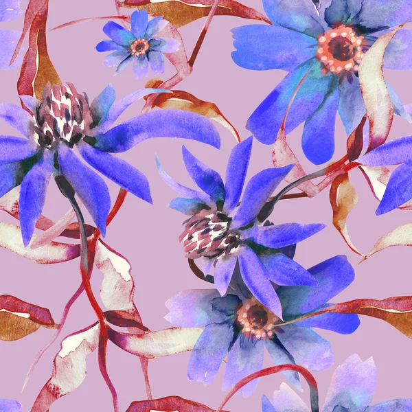 Голубой цветок без затмения — стоковое фото