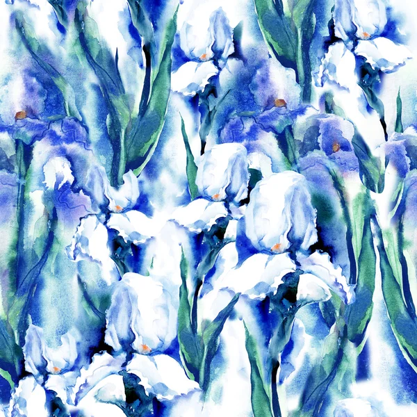 Irises Seamless Pattern — Stock Photo, Image