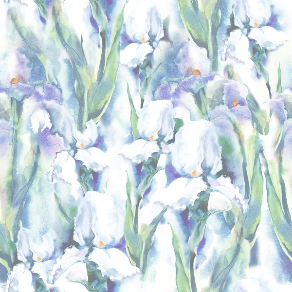 Irises Seamless Pattern — Stock Photo, Image