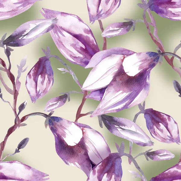 Magnolia sömlösa mönster — Stockfoto