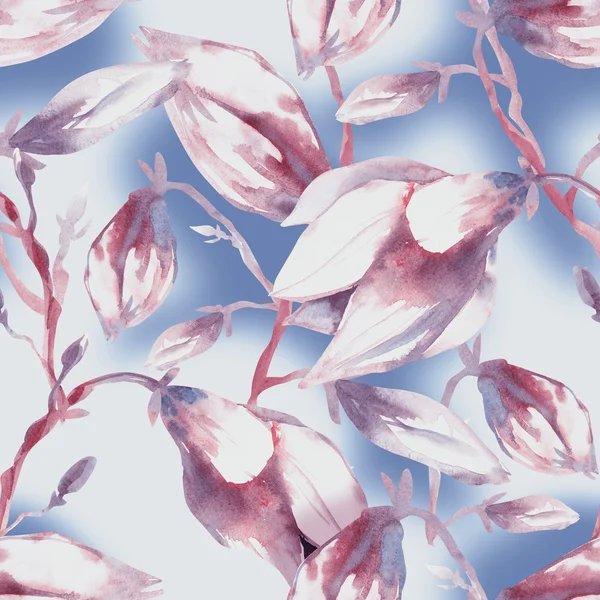 Magnolia bezszwowy wzór — Zdjęcie stockowe