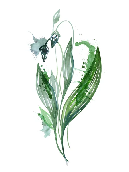 Ribwort — 图库照片