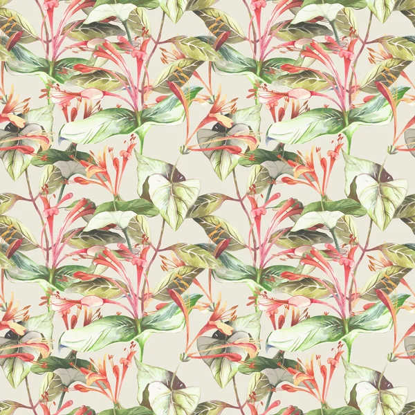 Lonicera Seamless Pattern — Stock Photo, Image