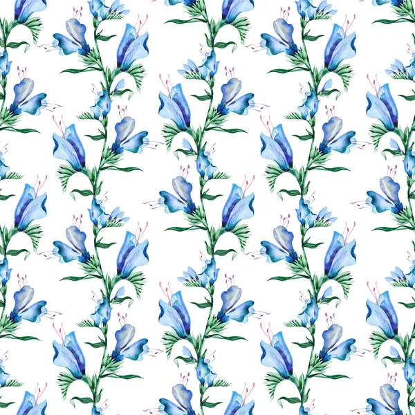 Blueweed fiore modello senza soluzione di continuità — Foto Stock