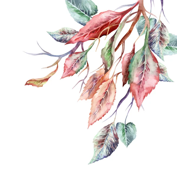 Fall Leaves Twig — Stockfoto