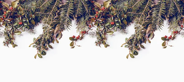 小枝のシームレスなガーランド — ストック写真