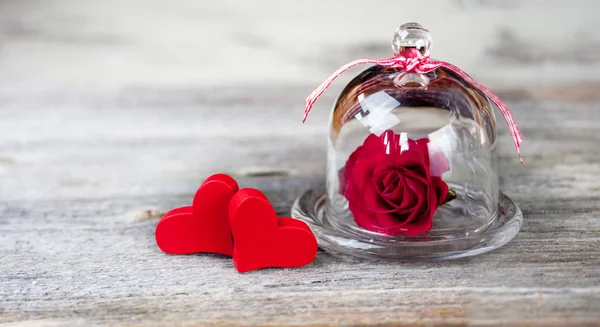 Twee harten en een roos — Stockfoto