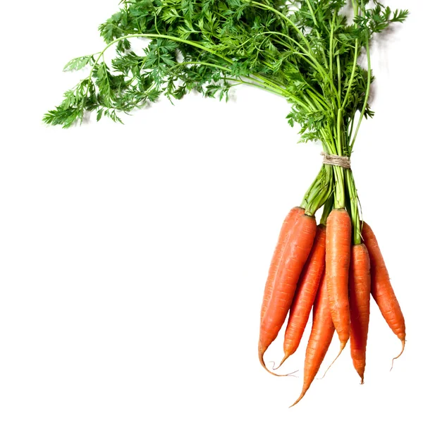 Zanahorias sobre fondo blanco —  Fotos de Stock