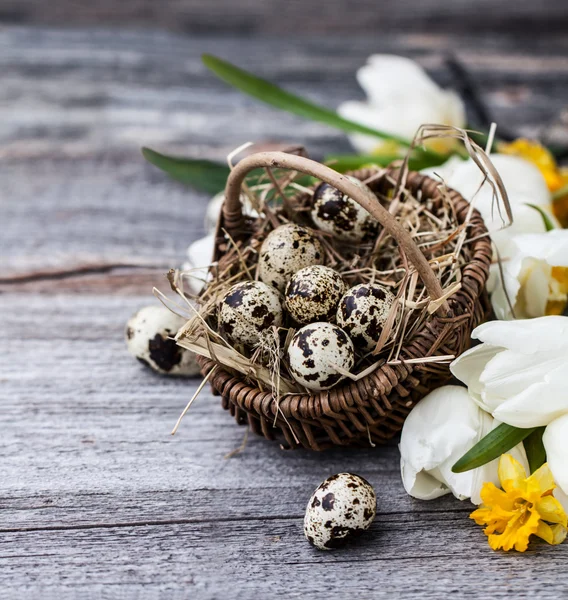 Vintage Background with Quail Eggs — Stock Photo, Image