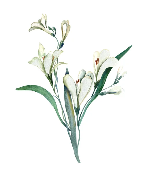 Χωρίς ραφή πρότυπο με Crocosmia λουλούδια — Φωτογραφία Αρχείου