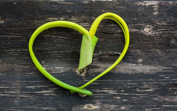 Leek on a Wooden Background — Stock Photo, Image