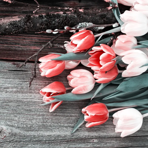 木制背景上的粉红郁金香 — 图库照片