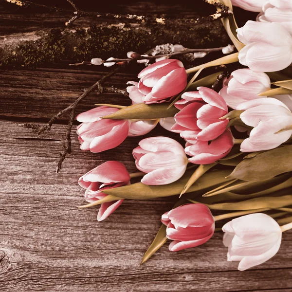 Pink Tulips on the Wooden Background — Stock Photo, Image