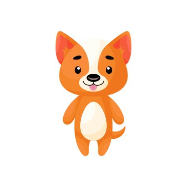 Beyaz arka planda şirin bir Corgi köpeği. Çocuk kartları için çizgi film karakteri, bebek partisi, posterler, doğum günü davetiyesi, kıyafetler. Karikatür biçiminde parlak renkli çocuksu vektör çizimi.