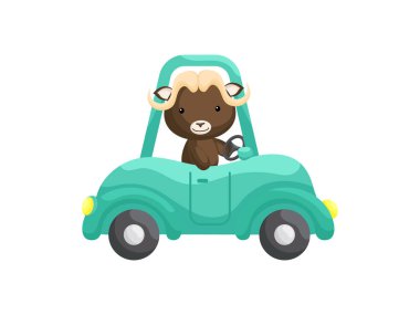 Küçük şirin misk öküzü zümrüt araba kullanıyor. Çocuk kitabı için çizgi film karakteri, albüm, bebek partisi, tebrik kartı, parti davetiyesi, ev içi. Vektör stok illüstrasyonu.