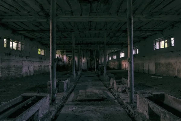 Темрява привидів брудний зал — стокове фото