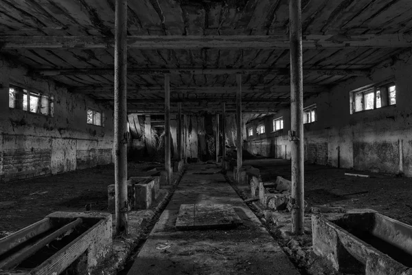 Темрява привидів брудний зал — стокове фото