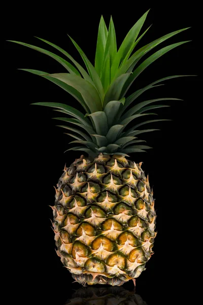 Yeşil yapraklı koca bir ananas kesme yolları olan siyah bir arka planda izole edilmiş..