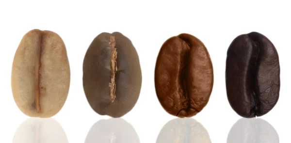 白い背景に隔離された焙煎の様々な段階を示すコーヒー豆のコラージュ — ストック写真