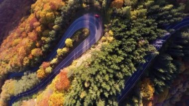 Hava: Soyut atış sonbahar mevsiminde renkli bir ormandaki virajlı yol