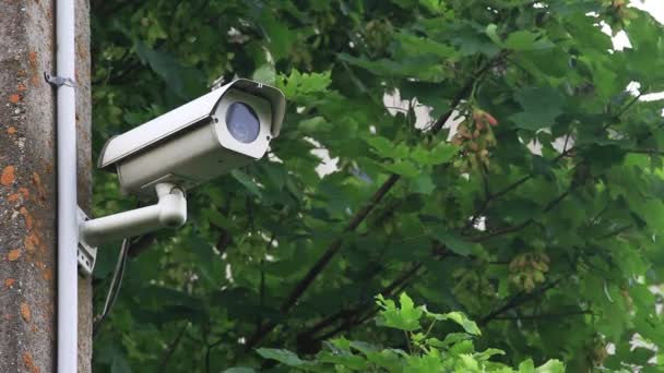 Bewakingscamera in de buurt van boomtakken — Stockvideo