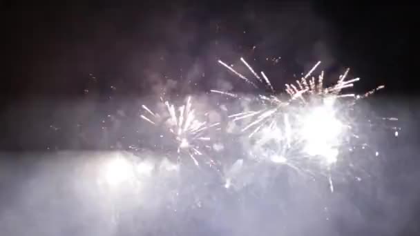 Kleurrijk vuurwerk in de lucht — Stockvideo