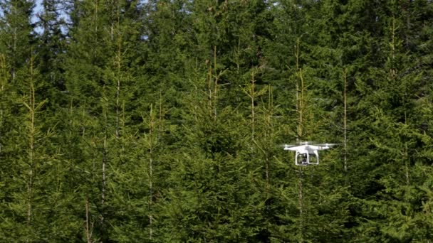 Quadcopter volando en el bosque de Sibiu, Rumania — Vídeos de Stock