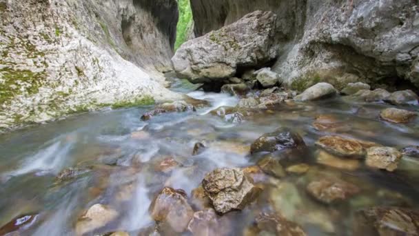 Ποταμός που ρέει πέρα από τους βράχους μέσα από ένα φαράγγι. Πάροδο του χρόνου κίνησης Shot. — Αρχείο Βίντεο