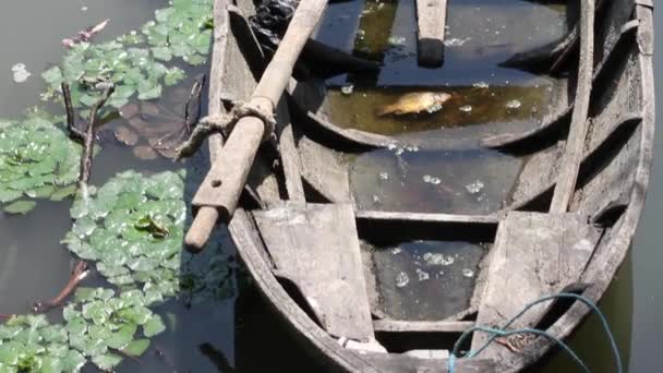 Vieux bateau à rames classique en bois — Video